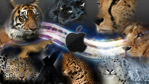 mac_os_x_cats_background_by_charmanderfan7-d39bjlc