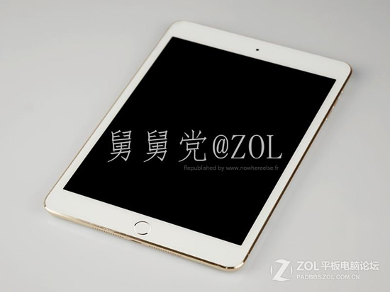 iPad-Mini-2-Or-001