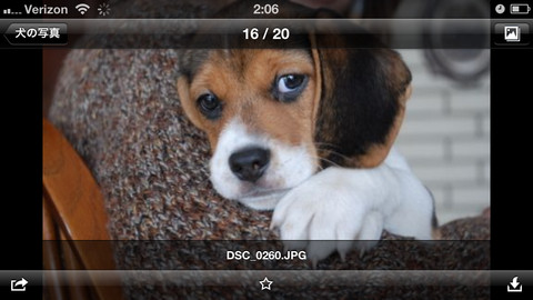 DropboxのiOS公式クライアントアプリが｢iPhone 5｣に対応
