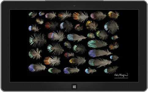 米Microsoft、新しいWindows向けテーマ｢Feather Photos｣を公開