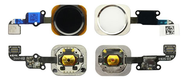 【追記】｢iPhone 6｣のものとされるホームボタンやWi-Fiアンテナなど各種部品の写真