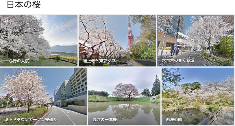 Google Japan、日本各地の桜のストリートビューを公開