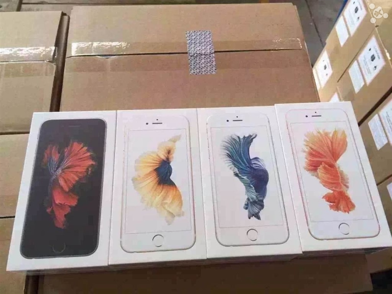｢iPhone 6s/6s Plus｣の各カラーモデルのパッケージを撮影した写真