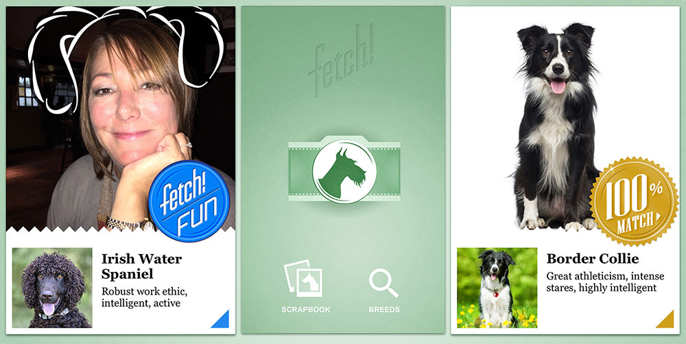 【更新】Microsoft、米App Storeで写真から犬の犬種を識別してくれるアプリ｢fetch｣をリリース