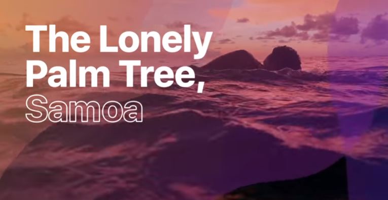 米Apple、｢Shot on iPhone｣シリーズの最新作 ｢The Lonely Palm Tree, Samoa｣を公開