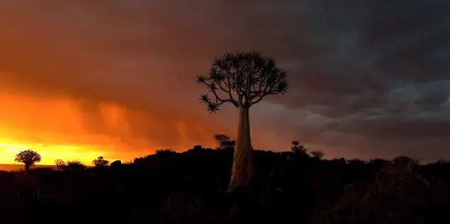 Apple Japan Iphone の新cm この星をiphone Xsで撮影 強くて美しい母なる地球 を公開 気になる 記になる