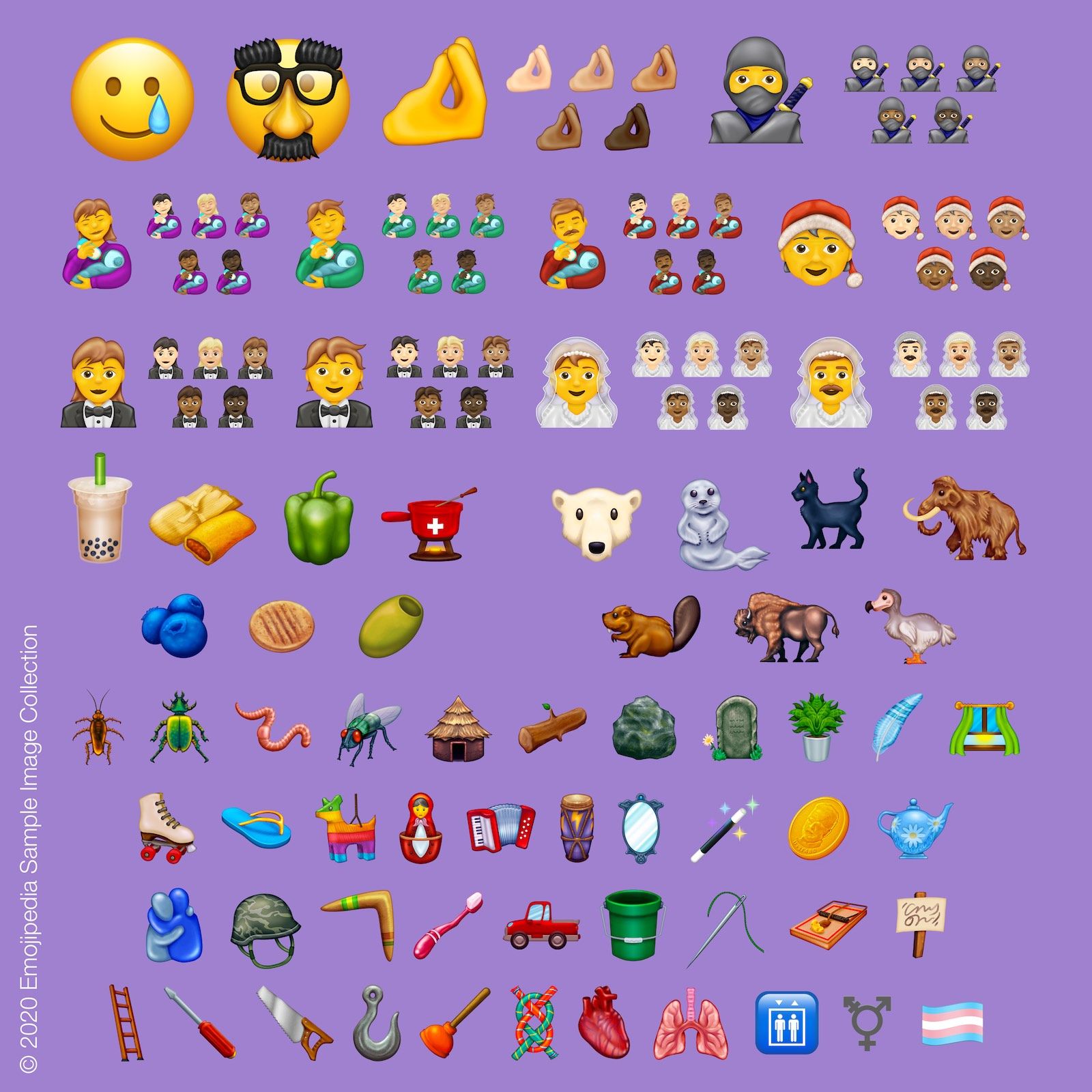 ユニコードコンソーシアム、｢Unicode Emoji 13.0｣で追加する62種類の新しい絵文字を正式に発表