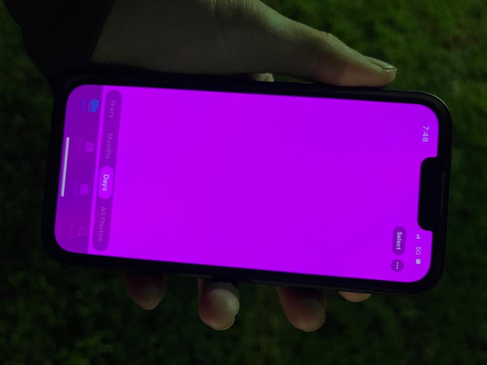 ｢iPhone 13｣シリーズでディスプレイがピンク色になり、クラッシュやフリーズする問題が報告される