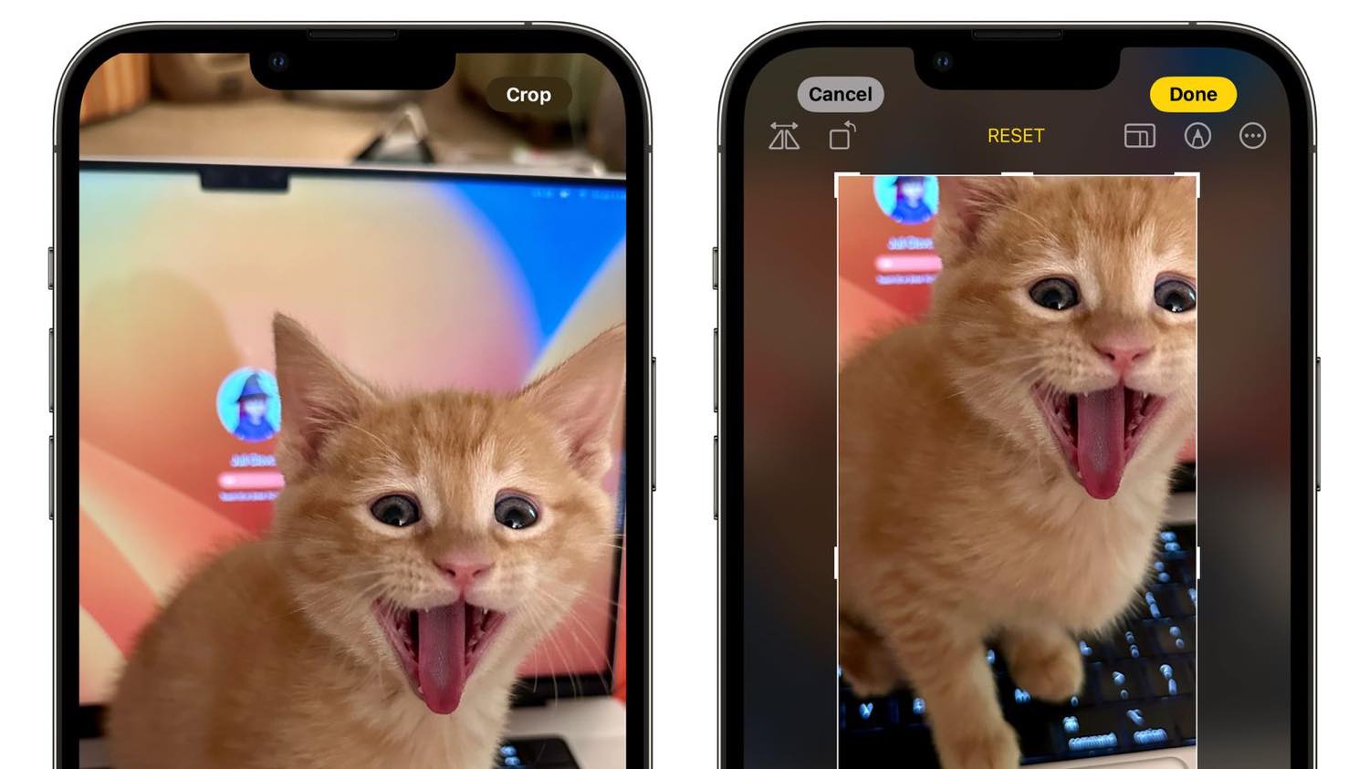 ｢iOS 17｣の｢写真｣アプリ、画像拡大時にワンタップで切り取り可能なボタンを搭載