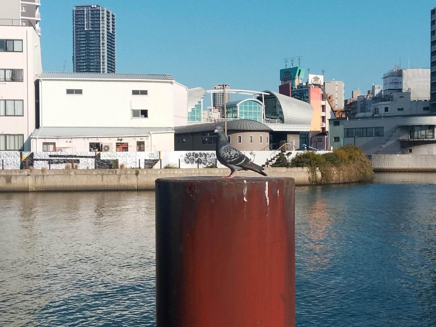 『OSCAL TIGER 8』レビュー｜割り切りも必要だが、約2万円で購入出来る120Hz対応大画面スマホ