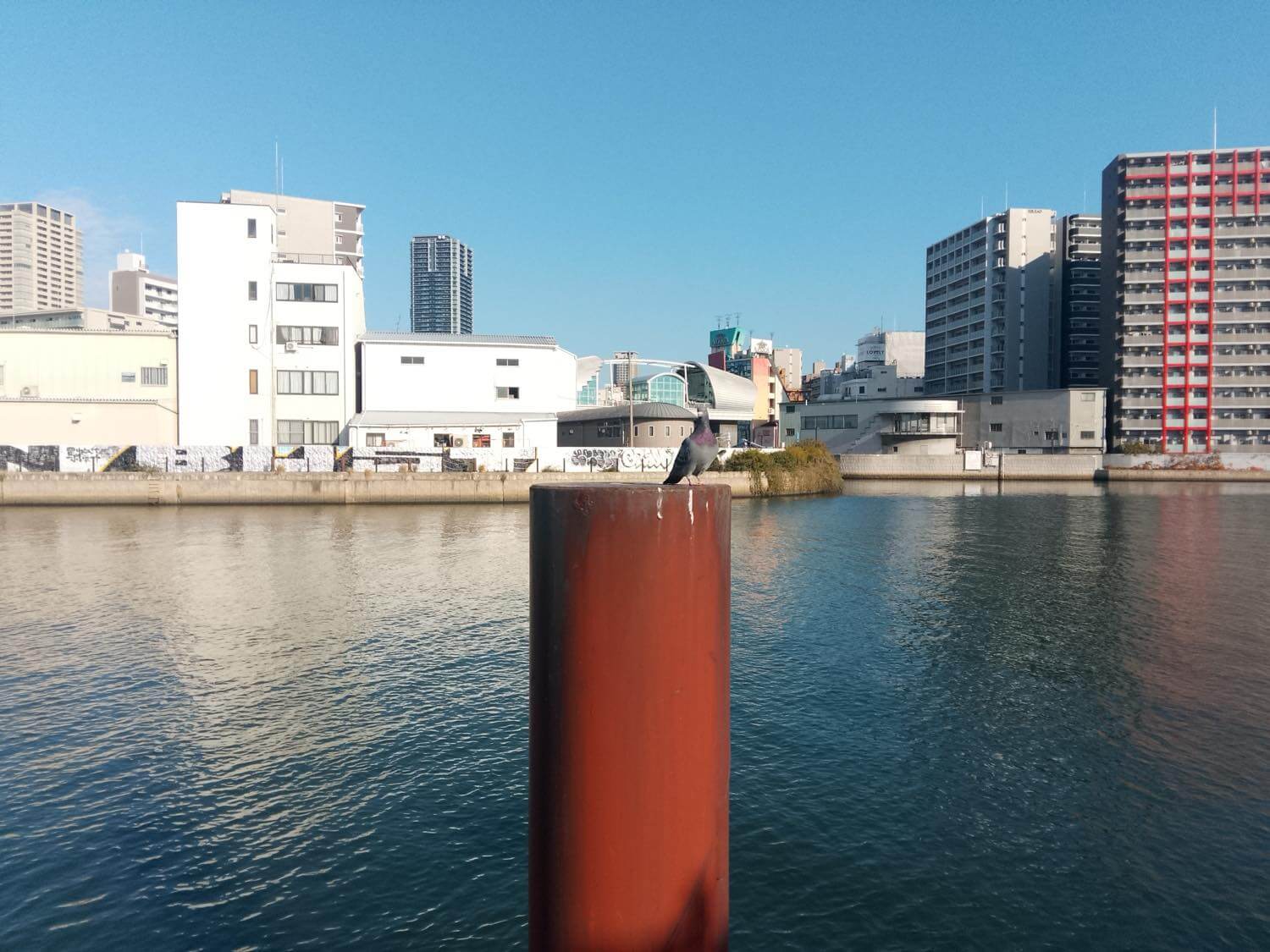 『OSCAL TIGER 8』レビュー｜割り切りも必要だが、約2万円で購入出来る120Hz対応大画面スマホ